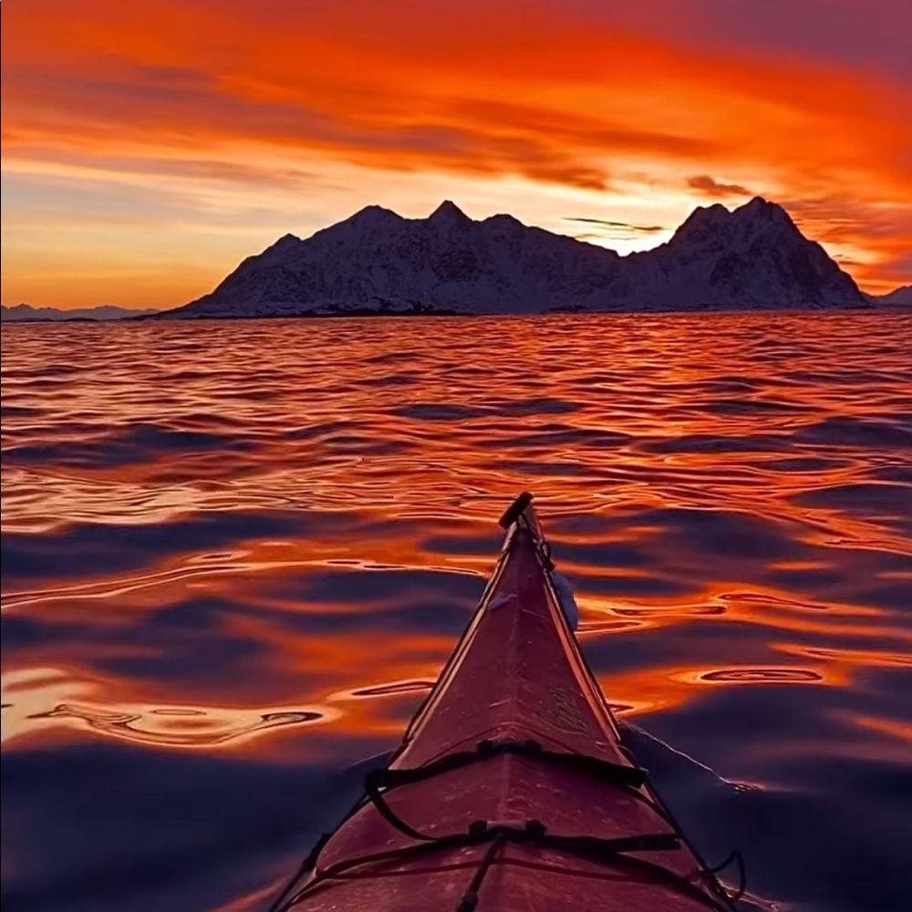 Meet your Posher, Ava